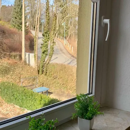 Ferienwohnung Dietel In Bad Schlema Mit Wlan Terrasse Stellplatz Inklusive Apartment *